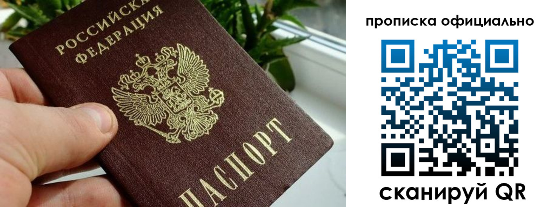 прописка поиск в Карачеве